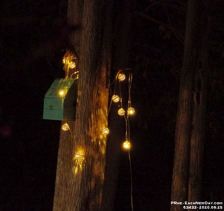 63433CrNrLeRe - Birdhouse - ornamental lights at the cottage